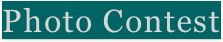 Photo Contest